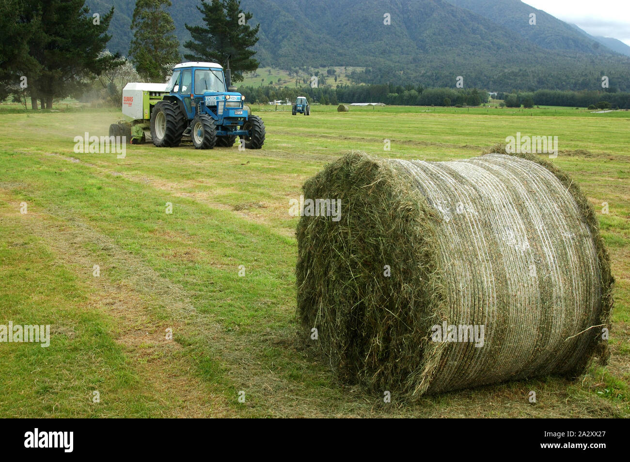 Greymouth, Nuova Zelanda, febbraio 22, 2008: Trattore imballatura fino grandi balle rotonde di erba per insilato, West Coast, Isola del Sud, Nuova Zelanda Foto Stock