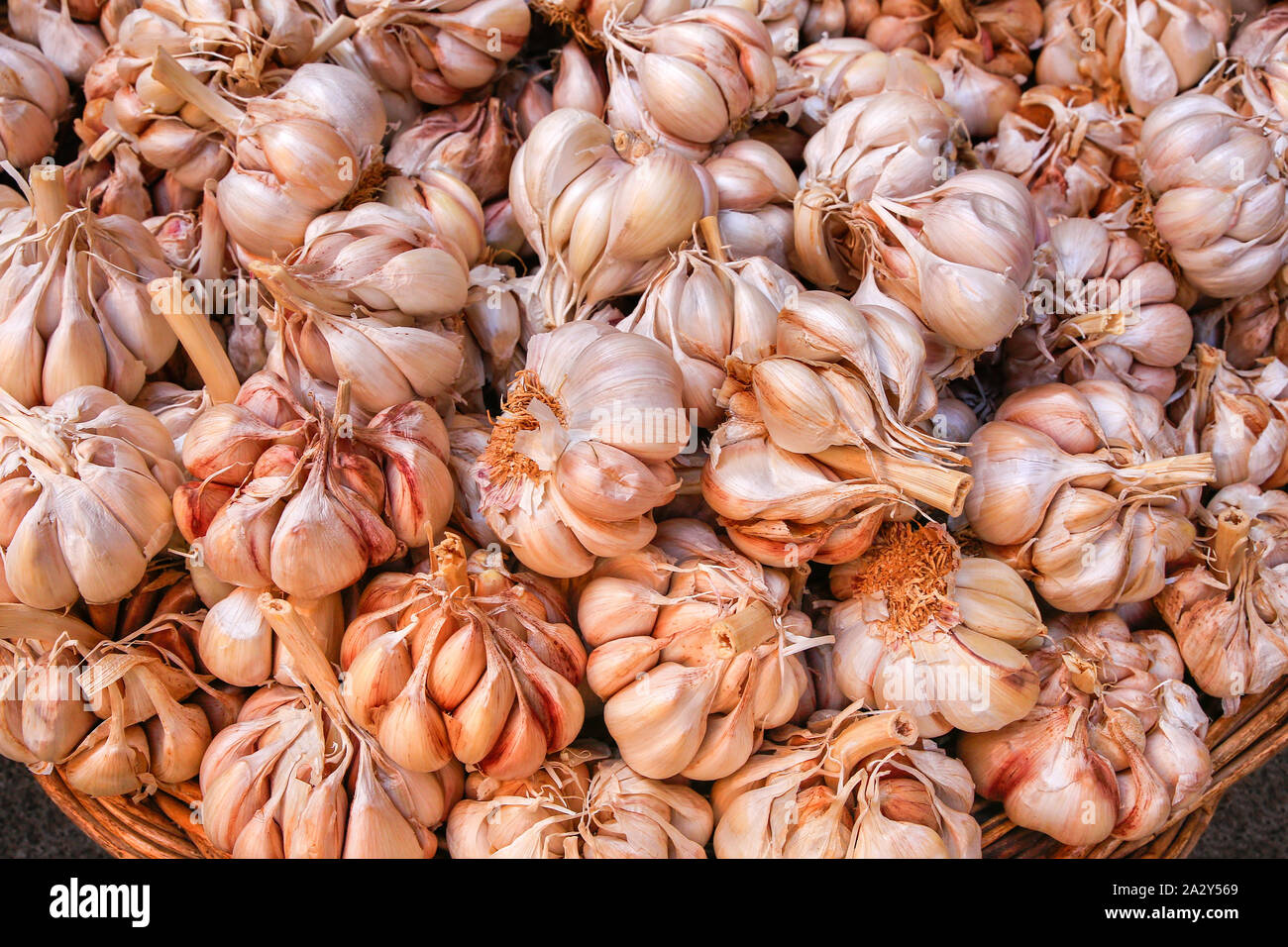 Un sacco di bulbi di aglio in vendita come verdura al mercato Foto Stock