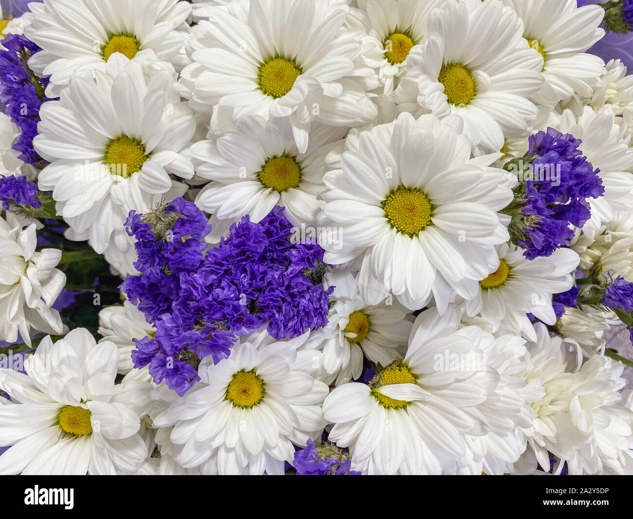 Sfondo di close-up bouquet di gerbere e altri fiori. Messa a fuoco selettiva Foto Stock