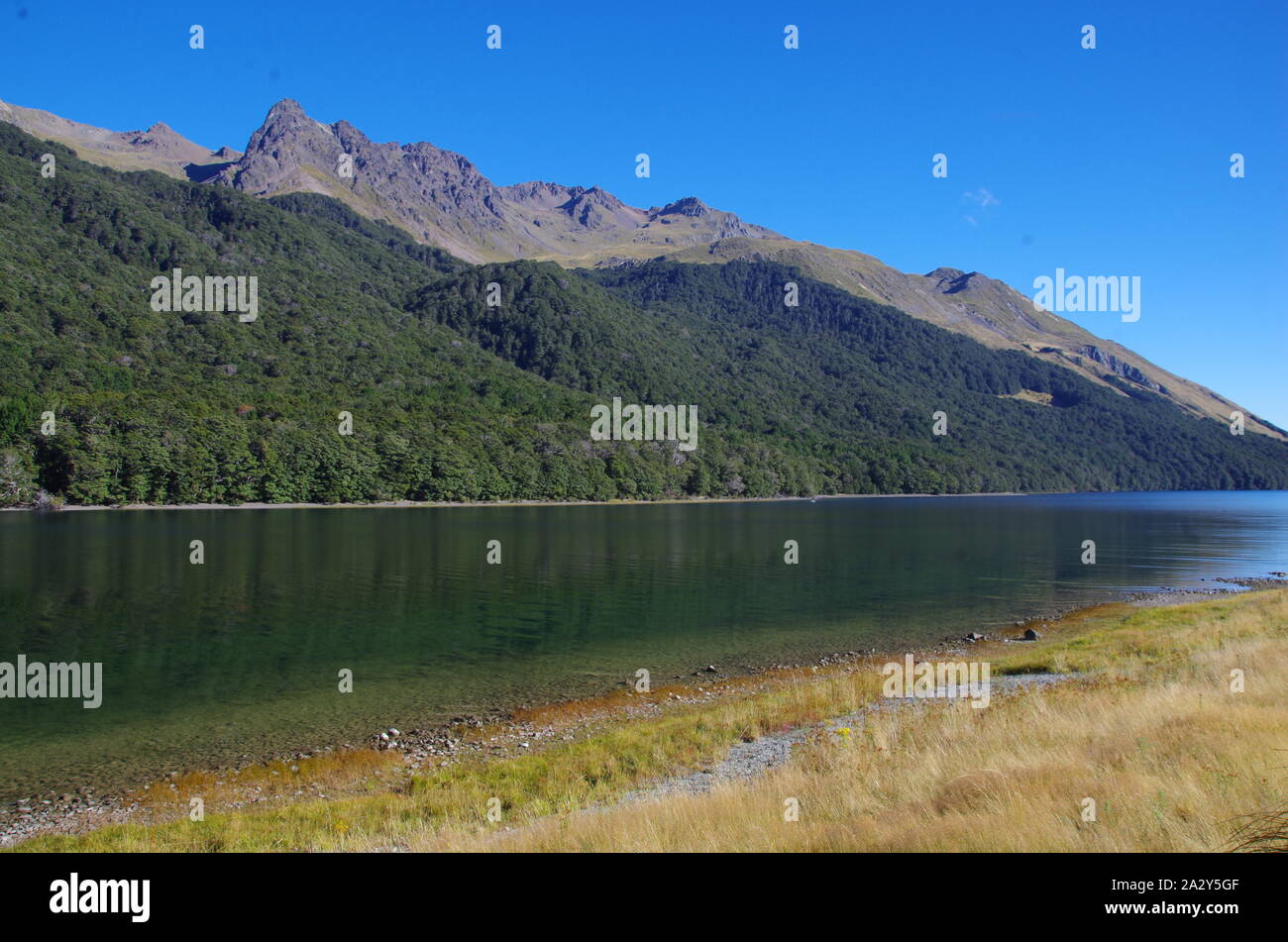 Mavora Lakes. Te Araroa Trail. Mavora passerella. Isola del Sud. Nuova Zelanda Foto Stock