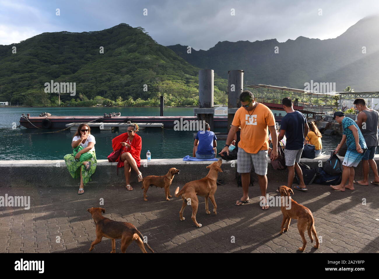 Moorea, Polinesia francese. 29Sep, 2019. Le persone e i cani sono visibili durante il tramonto a Vaiare port.Moorea è un alto isola in Polinesia francese formata come un vulcano di circa 1,5 a 2,5 milioni di anni fa. Ha circa 17.000 abitanti ed è visitato da migliaia di turisti ogni anno. L'ananas è il principale prodotto agricolo dell'isola. Credito: John Milner/SOPA Immagini/ZUMA filo/Alamy Live News Foto Stock