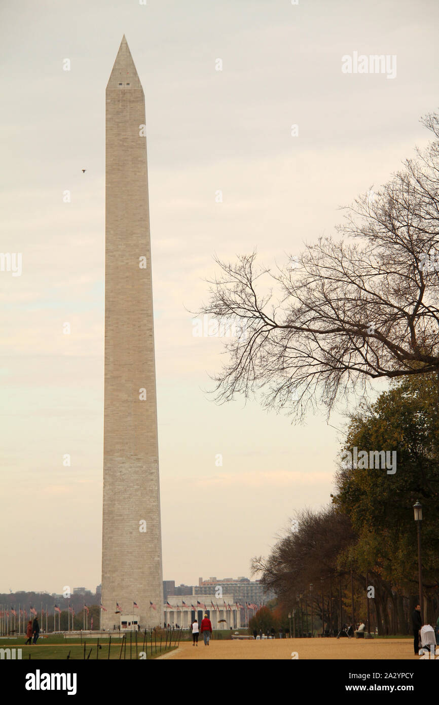 Il Monumento di Washington a Washington DC, Stati Uniti d'America Foto Stock