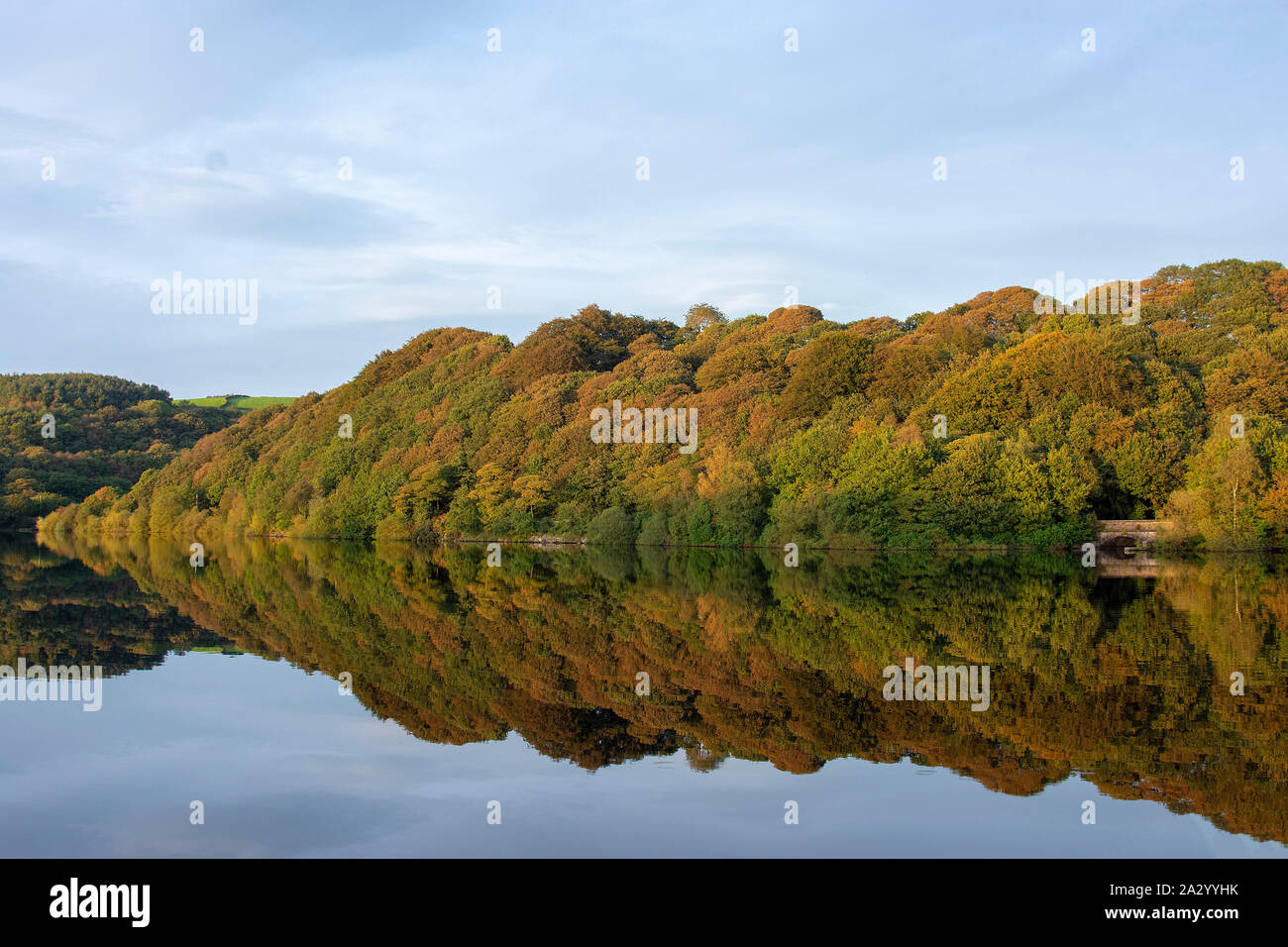 Angalzarke Reservoir - Rivington nei colori autunnali Foto Stock
