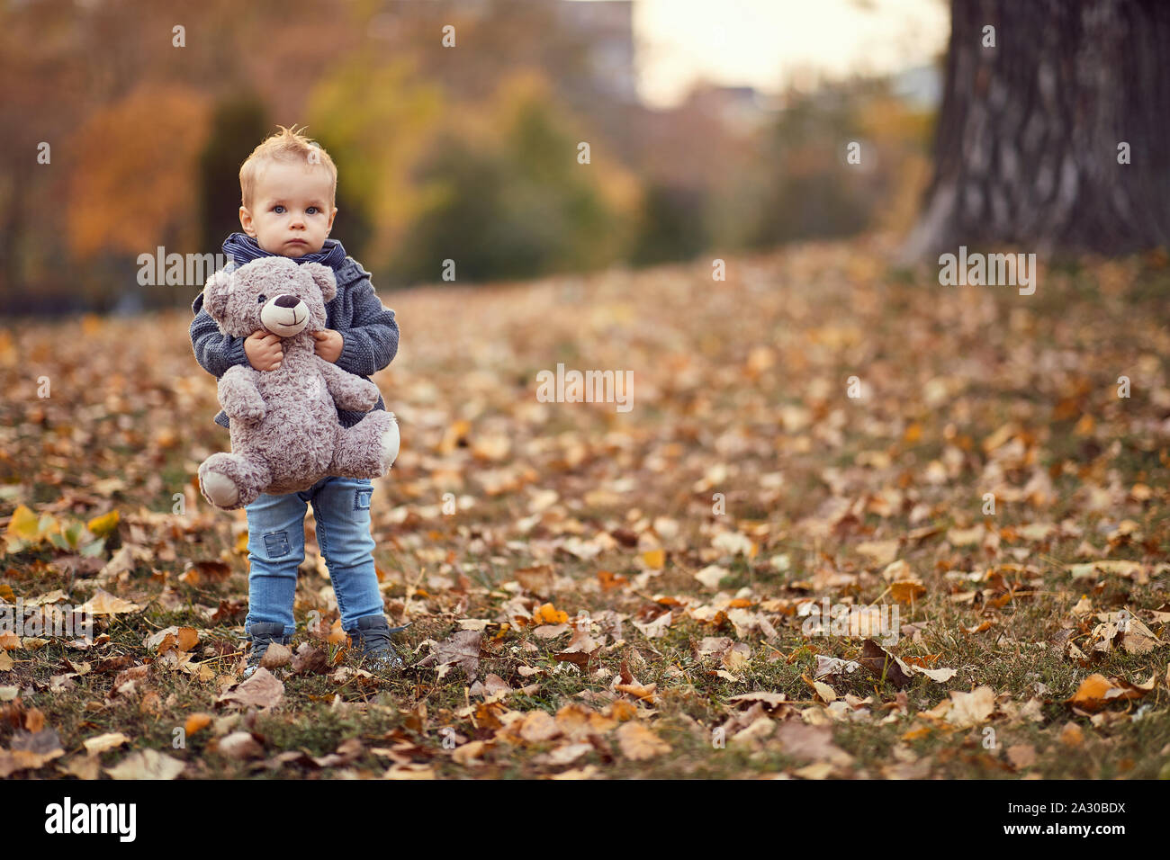 Bambino ragazzo giocando, sorridente e divertirsi in autunno il parco della città. Di colore giallo brillante e alberi e foglie Foto Stock