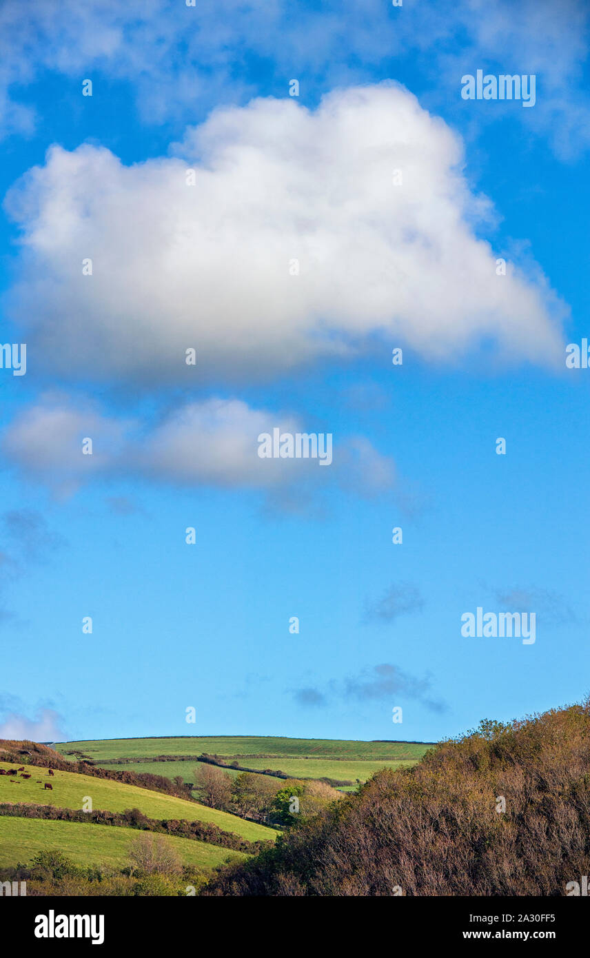 Cielo blu e nuvole sopra i campi rurali al di fuori Boscastle in Cornovaglia, England, Regno Unito Foto Stock