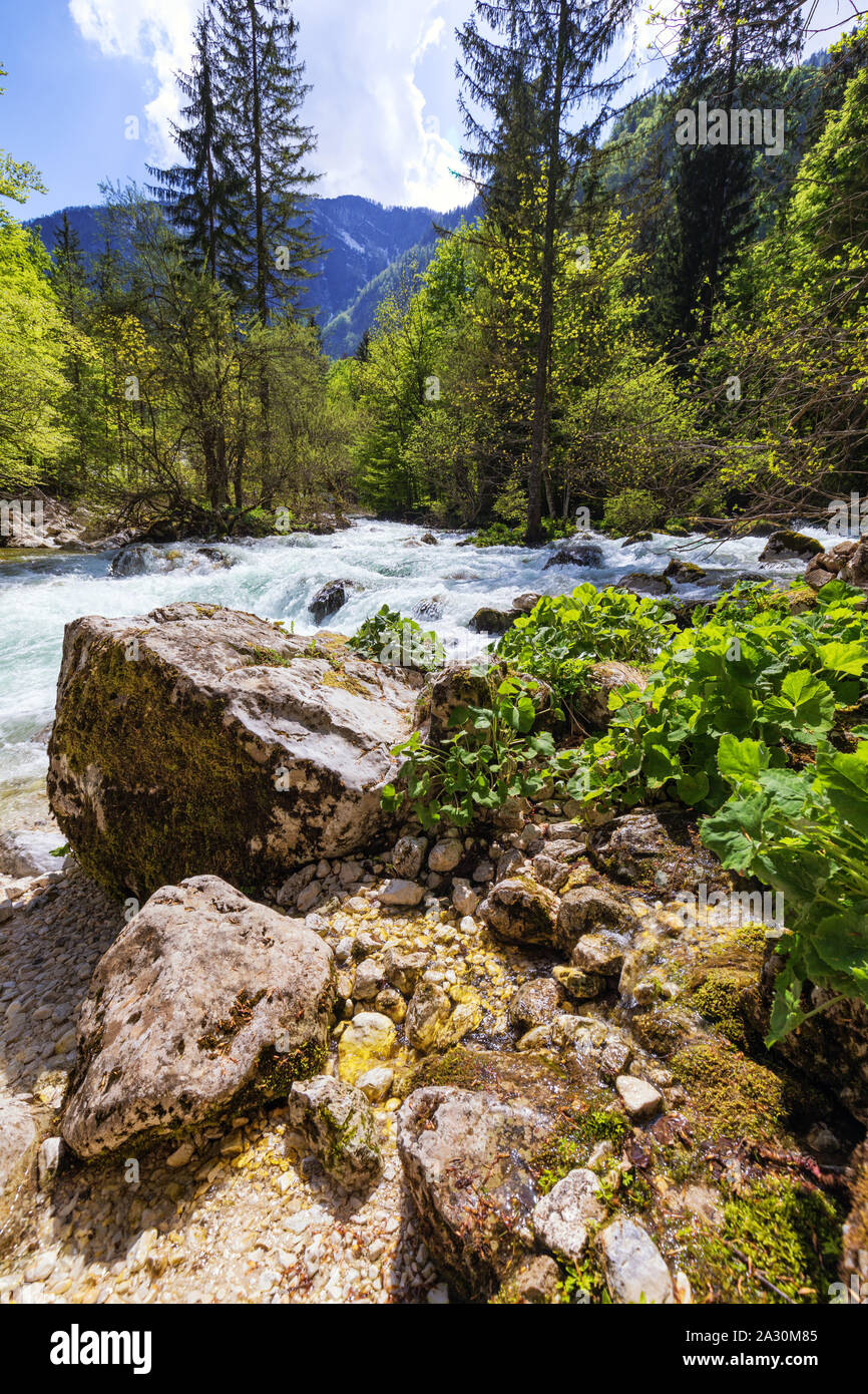 Montagna Paesaggio fluviale selvaggio. Lungo la valle del fiume in montagna. Selvatici di montagna panorama sul fiume. Una piccola cascata nella foresta stream. Lunga esposizione. Fast water st Foto Stock