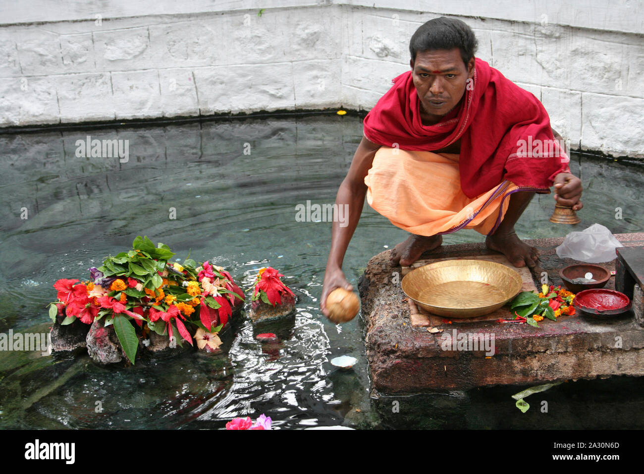 Sacerdote rendendo il latte di cocco che offre a Taptapani primavera calda, Mohana, Orissa, India Foto Stock