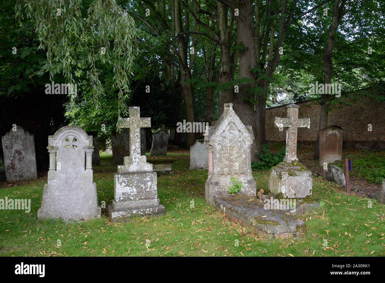 Algae-Covered storico o vecchie lapidi nel cimitero o cimitero della Chiesa della Santa Trinità, aka Shakespeare's Church, Stratford-upon-Avon Foto Stock