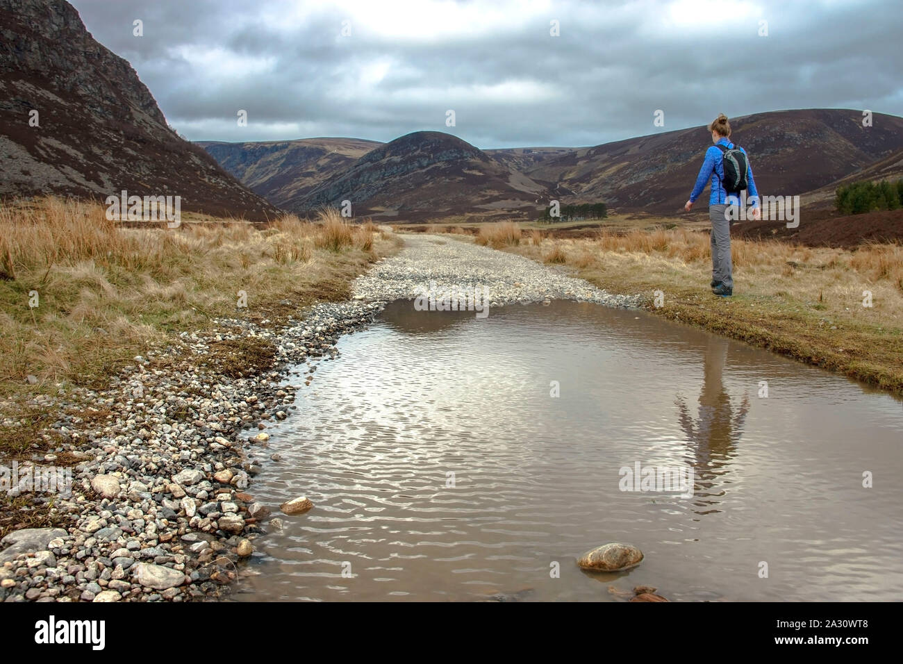 Escursioni turistiche sul percorso a monte Acuto nel Cairngorm Mountains. Angus, Scotland, Regno Unito Foto Stock