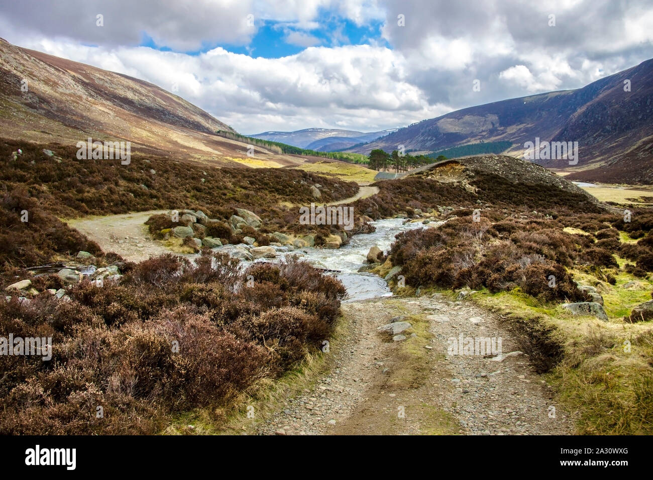 Sentiero escursionistico in Cairngorms National Park. Angus, Scotland, Regno Unito Foto Stock