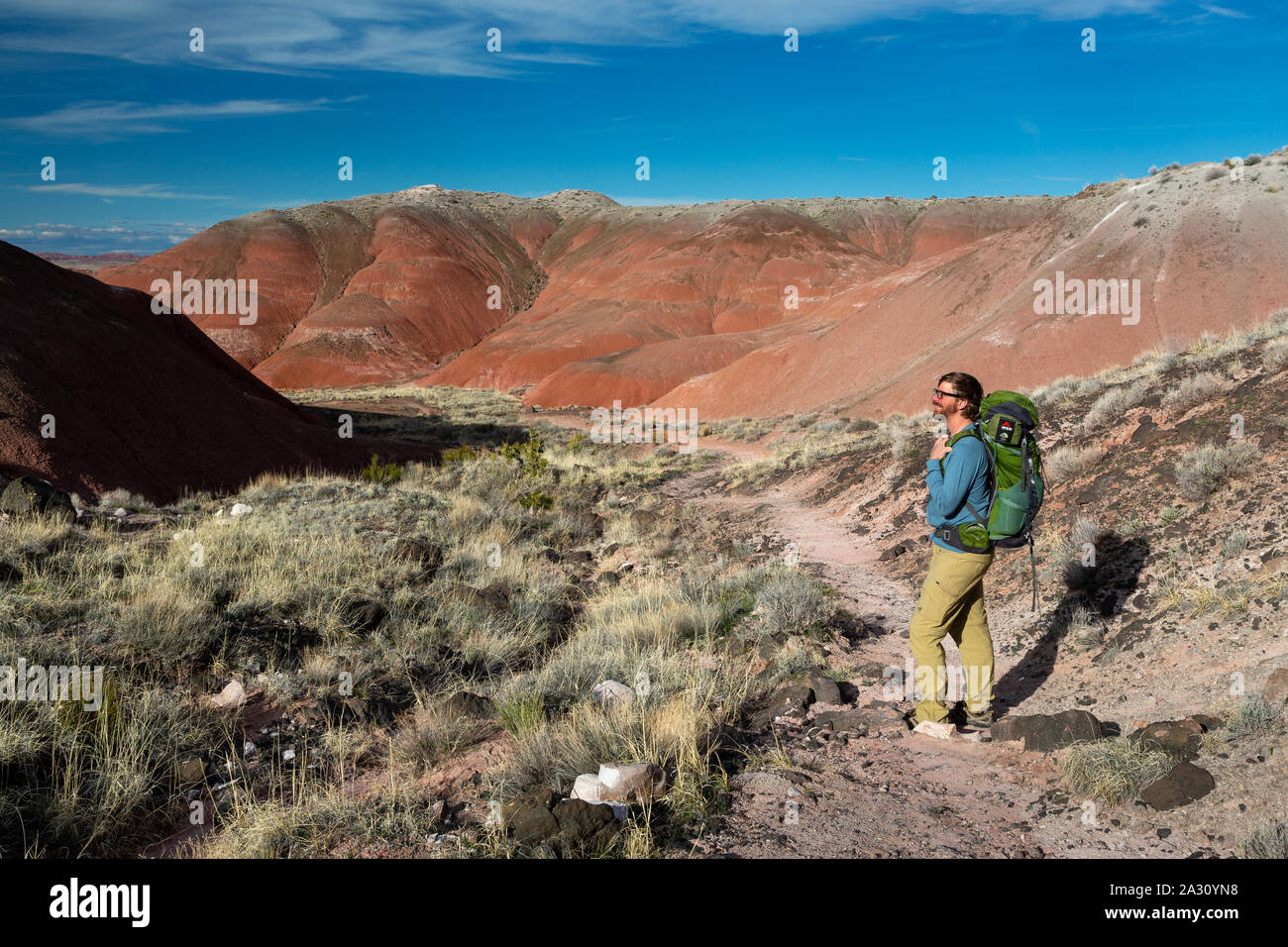 Un backpacker scendendo il Sentiero da Kachina punto verso il Deserto Dipinto Wilderness Area. Parco Nazionale della Foresta Pietrificata, Arizona Foto Stock
