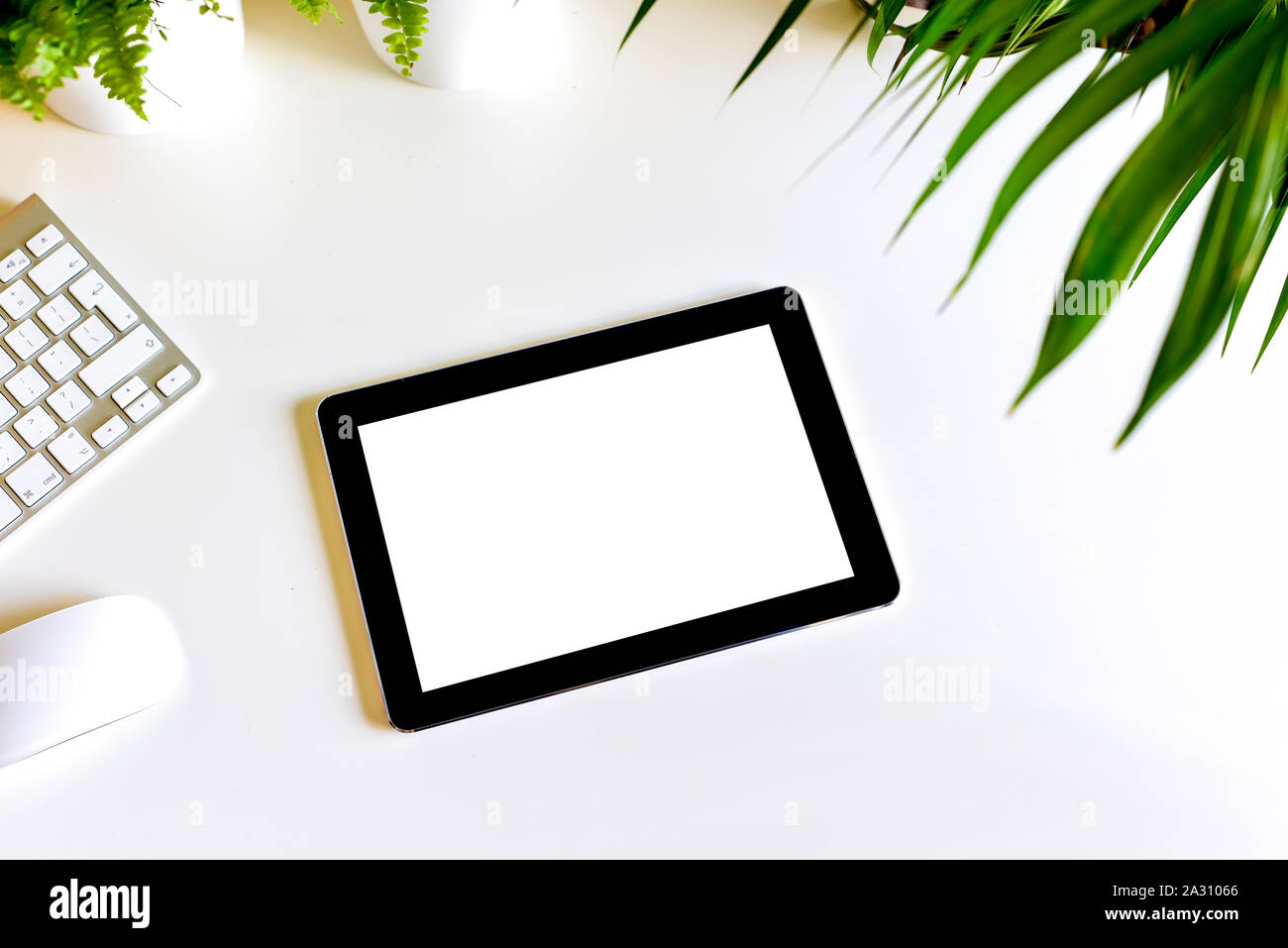 Schermata bianca vuota sul tablet portatile dispositivo sulla moderna scrivania in ufficio Foto Stock