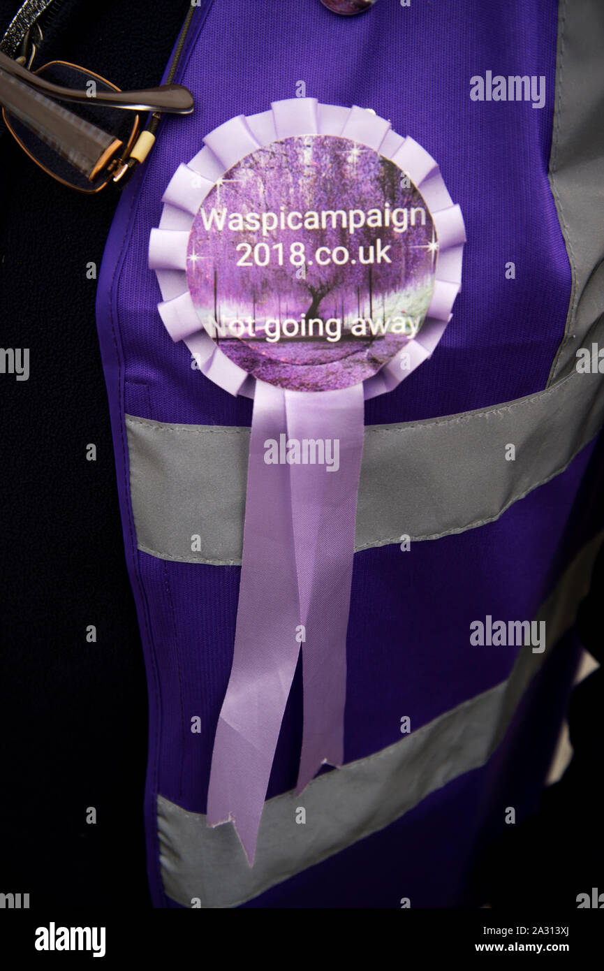 La piazza del Parlamento, Londra 3 ottobre 2019. Rosetta indossata da un Waspi (Donne contro la pensione statale di disuguaglianza) donna dopo la sconfitta in Alta Corte Foto Stock
