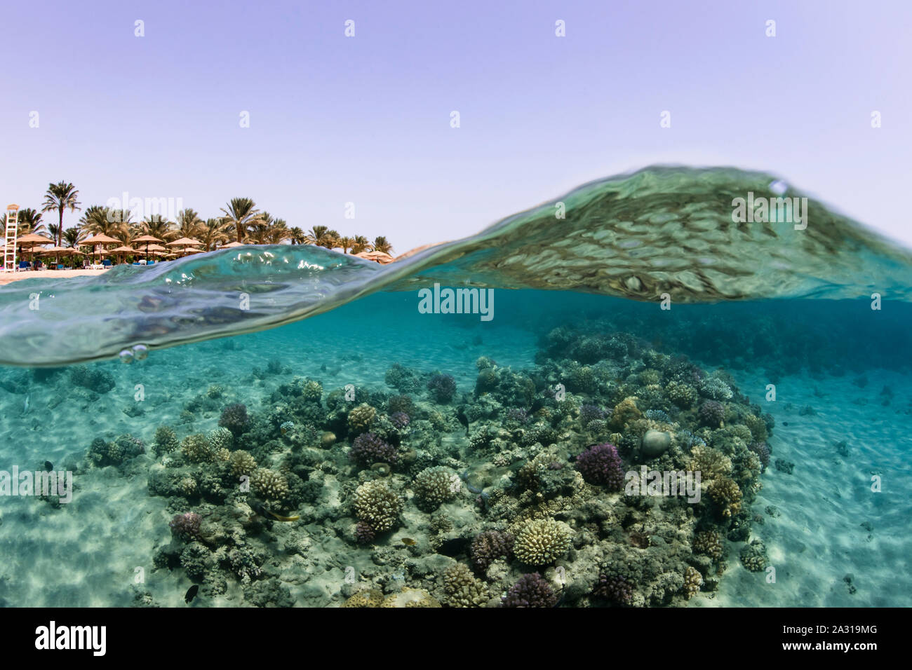 Split shot, Makadi Bay, Egitto Foto Stock