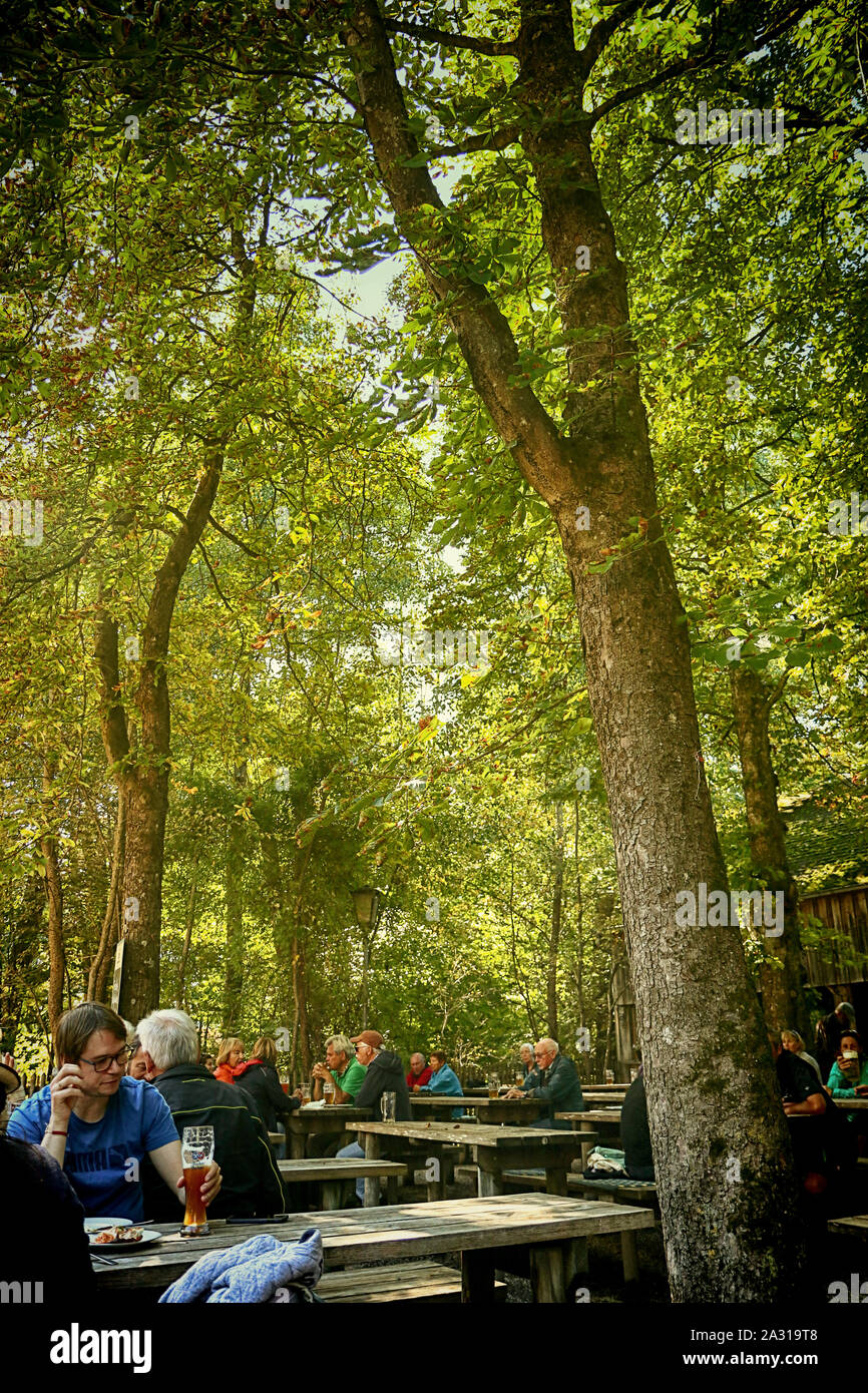 A Garching, Germania - tipica birra bavarese e giardino: Apertura stagionale Aria ristorante di specialità locali sotto alta horse-Albero di castagno Foto Stock