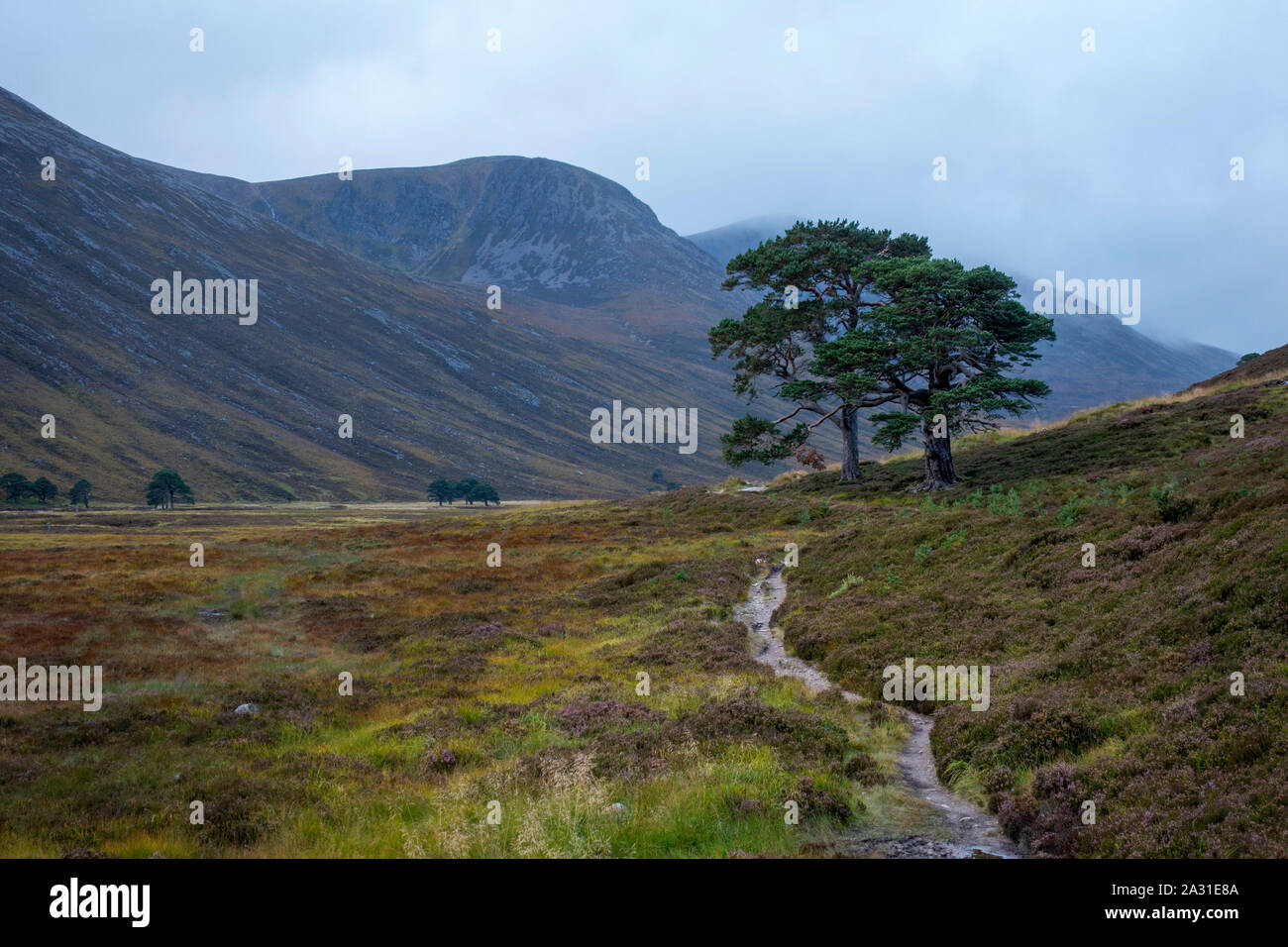 The Glen Lui e Glen Derry rotta nel Parco Nazionale di Cairngorms che vi porta fino a Ben Macdui la montagna più alta del parco. Foto Stock