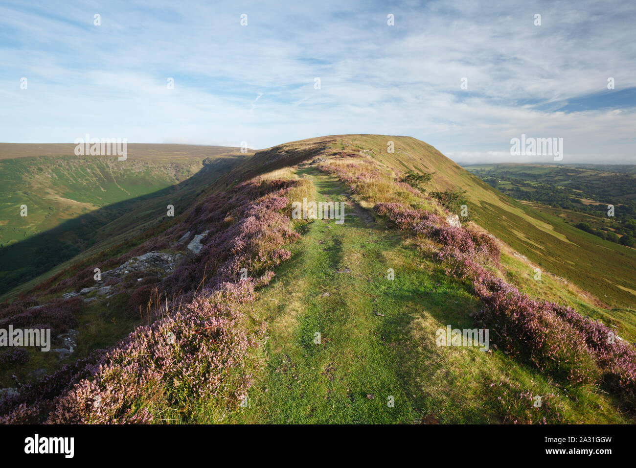 Black Hill sul bordo della Montagna Nera. Craswall, Herefordshire. Regno Unito. Foto Stock