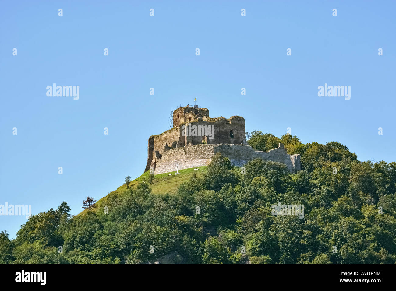 Kapusan rovine del castello, sulla cima di una montagna boscosa, con un flag su una torre contro un cielo blu chiaro in Slovacchia, vicino alla città di Presov. Foto Stock