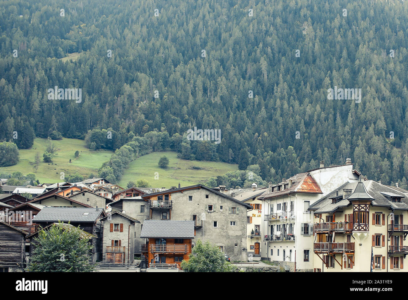 Il lato montagna città svizzera, un bellissimo paesaggio sarà una miscela di marrone e verde Foto Stock