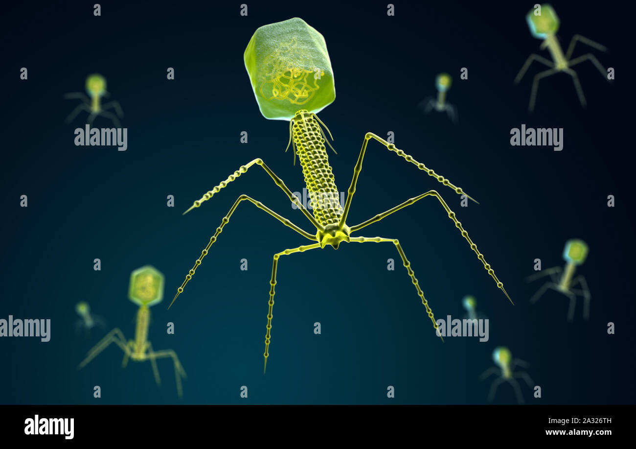 Visualizzazione stilizzata di un batteriofago. 3D illustrazione Foto Stock