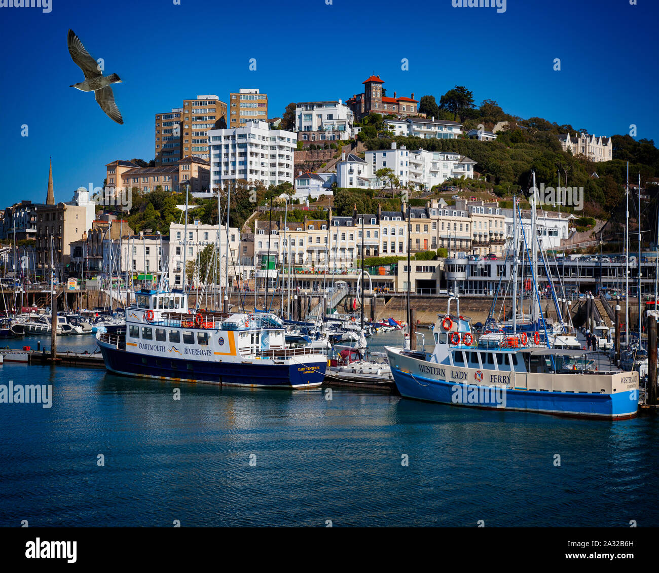 GB - DEVON: Torquay porto e città Foto Stock