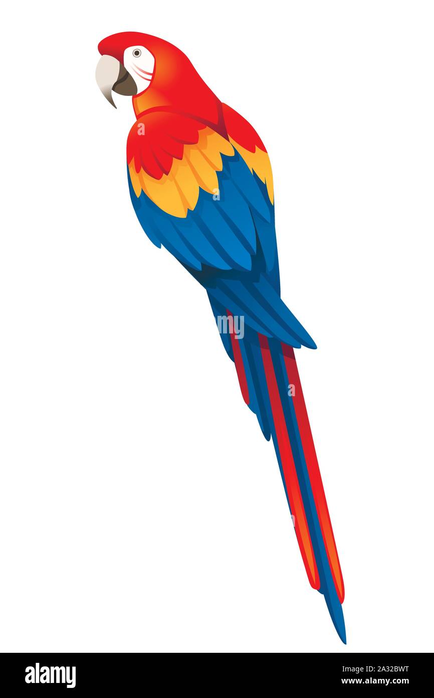 Adulto di pappagallo rosso-verde macaw Ara seduta (Ara chloropterus) cartoon bird piatto design illustrazione vettoriale isolati su sfondo bianco. Illustrazione Vettoriale