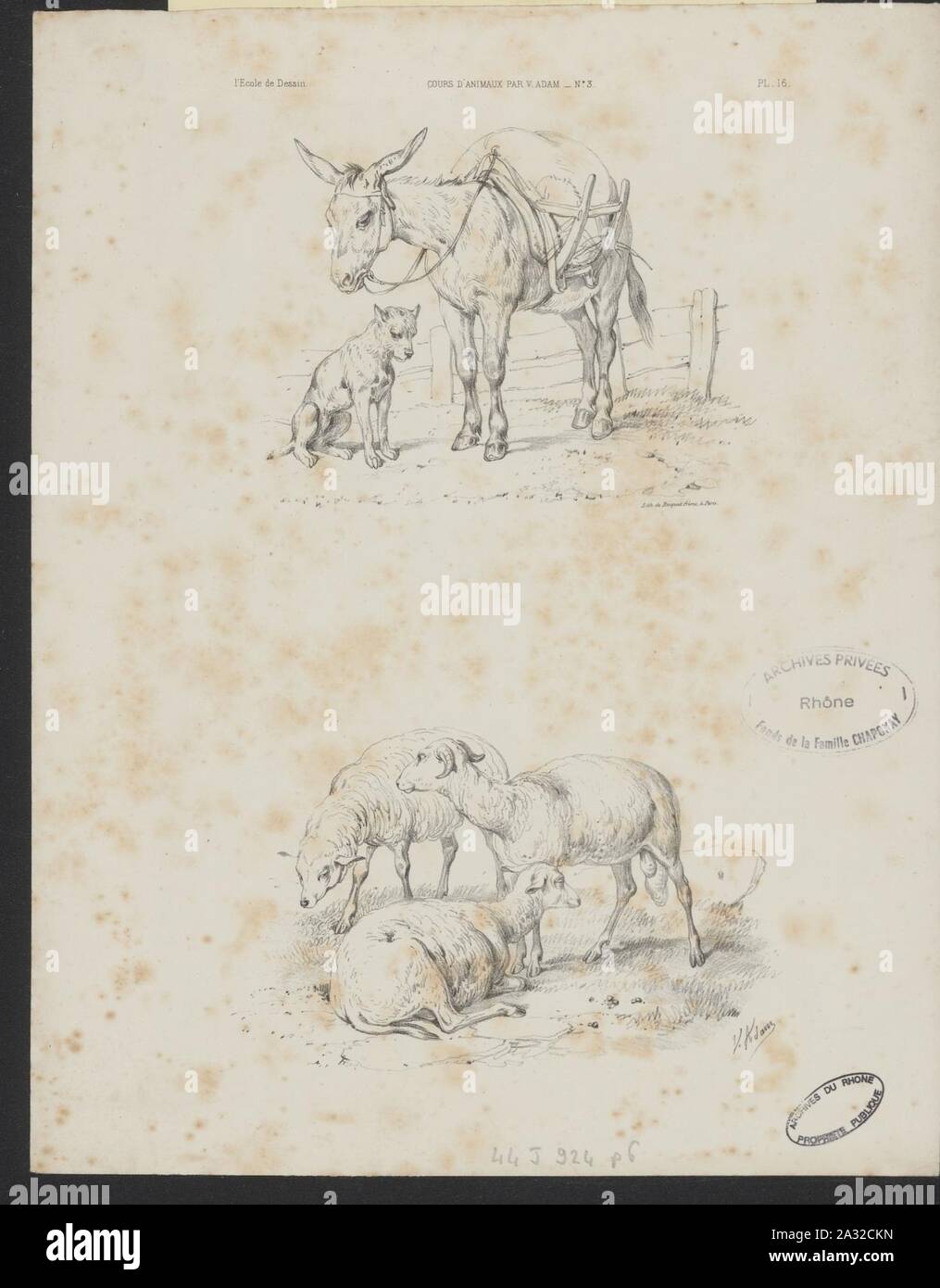 Estampes, monumenti, ritratti et animaux, XVIème à xixo siècle 04. Foto Stock