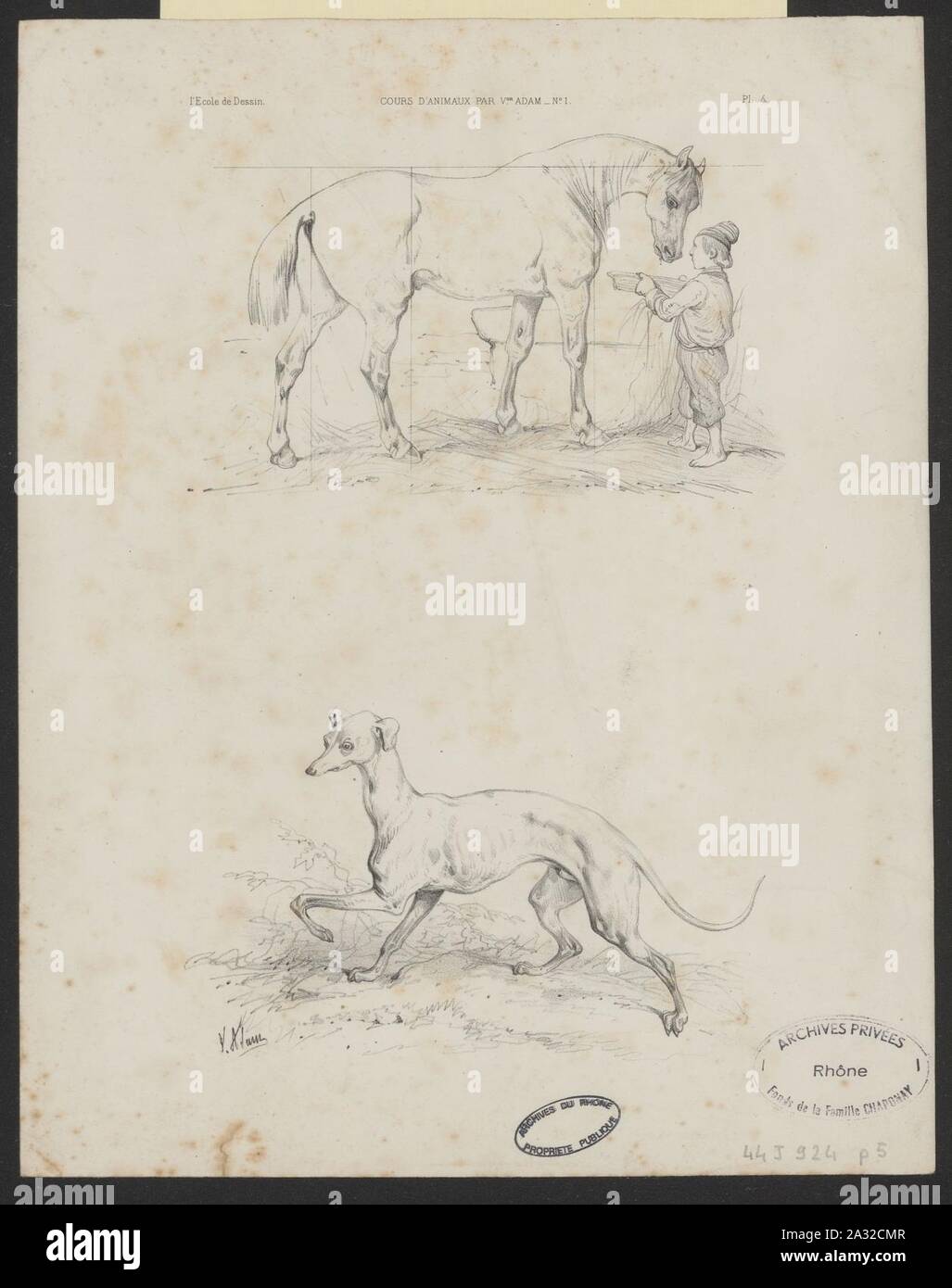 Estampes, monumenti, ritratti et animaux, XVIème à xixo siècle 03. Foto Stock