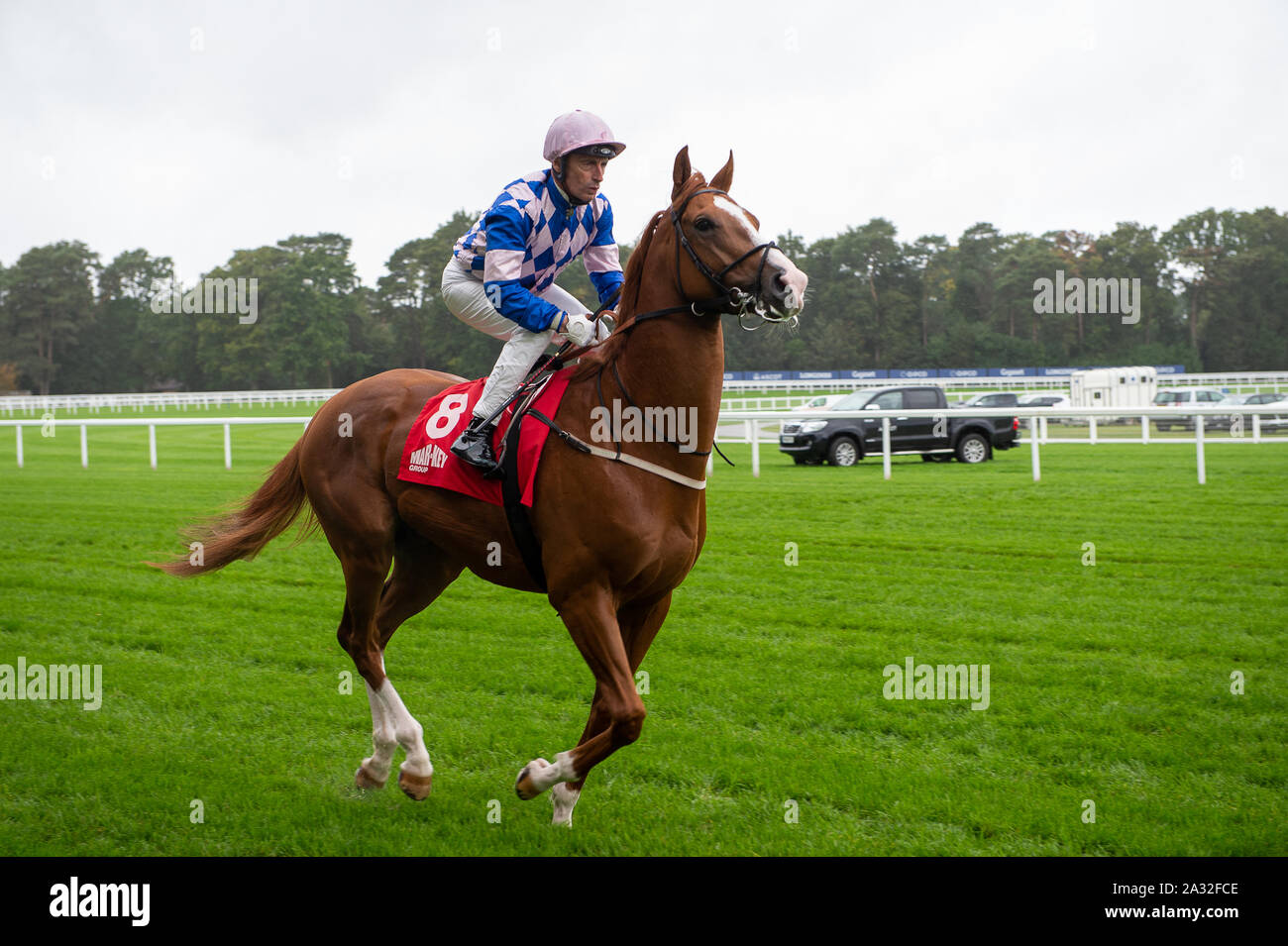 Autunno Racing Weekend & Ascot festa della birra, Ascot Racecourse, Ascot, Berkshire, Regno Unito. 4 Ottobre, 2019. Jockey Gerald Mosse passeggiate a cavallo della zona di destinazione. Credito: Maureen McLean/Alamy Foto Stock