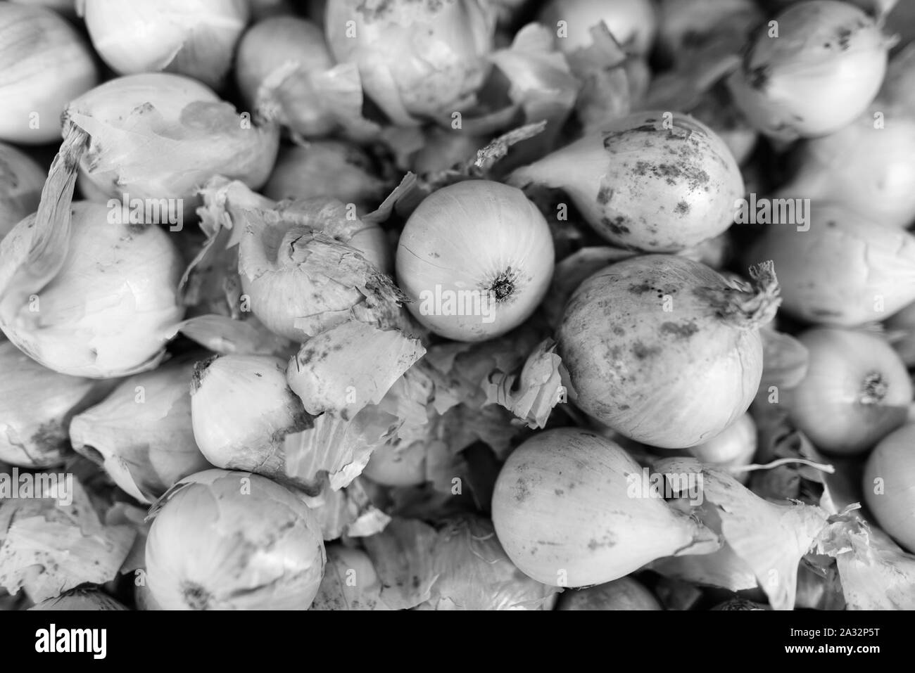 Full Frame Shot di cipolle in bianco e nero Foto Stock