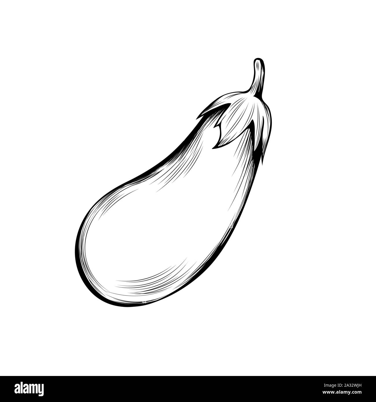 Melanzane mature disegnati a mano illustrazione vettoriale. La Giornata del ringraziamento, agricoltura, alimentazione sana sketch simbolo. Melanzane naturale, vegetali incisi disegno monocromatico. Raccolto stagionale, cibo di fattoria Illustrazione Vettoriale