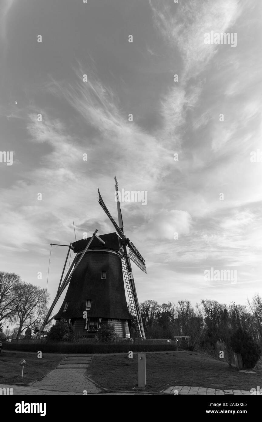 De Riekermolen, Amsterdam Foto Stock