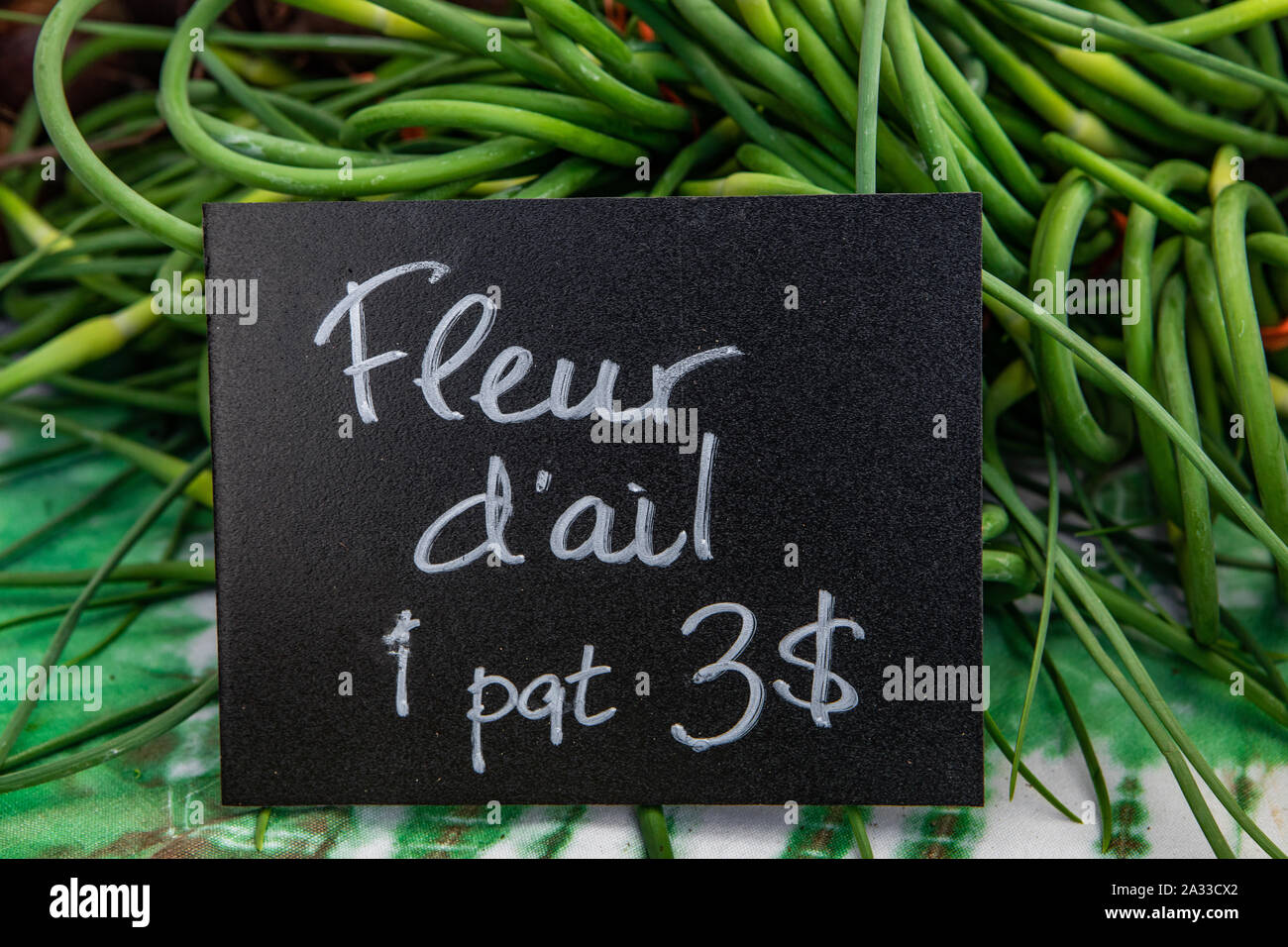 Un Francese prezzo canadese segno, dicendo aglio fiori (Allium sativum), è vista in primo piano su un mercato in stallo con fresco verde stocchi di aglio in background Foto Stock