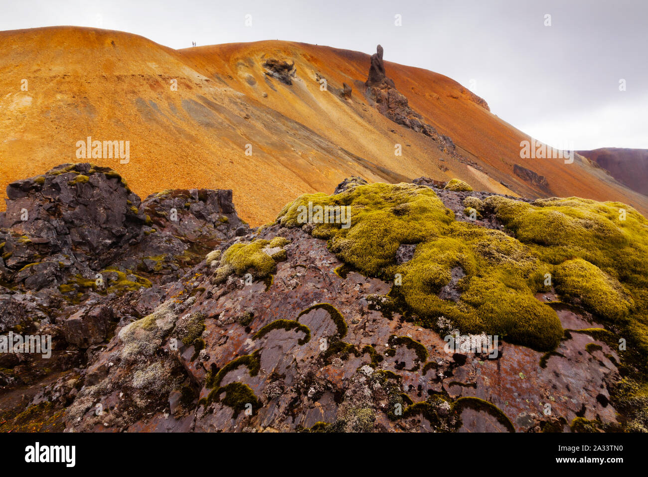 La roccia vulcanica paesaggio a Landmannalaugar, Islanda Foto Stock