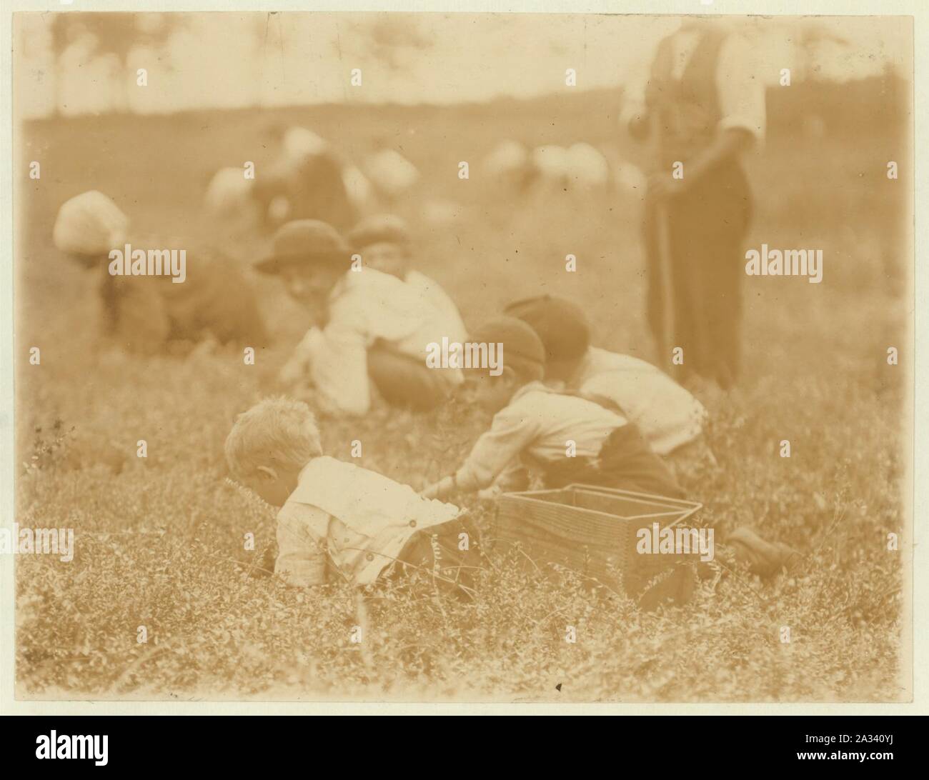 Fank Denato, 6 anni; Tom Denato, 4 anni; Domino Denato, 12 anni. 902 Montrose San, Philadelphia e Padrone. Bianco Bog, Browns Mills, N.J. Questa è la quarta settimana di scuola Foto Stock