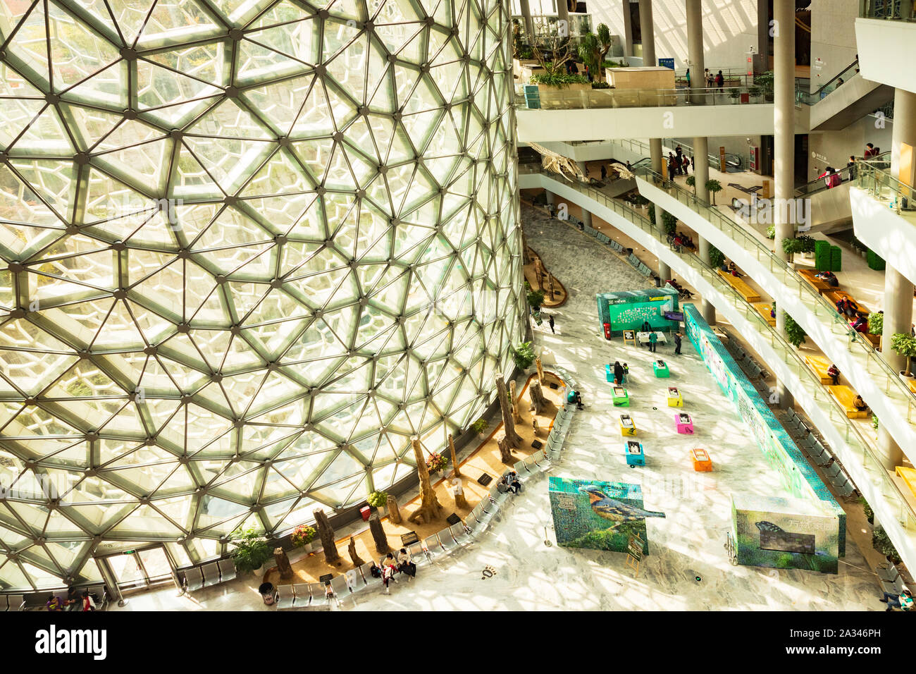 30 Novembre 2018: Shanghai in Cina - il Museo di Storia Naturale interno, la hall o la lobby, con la sua parete di vetro. Foto Stock