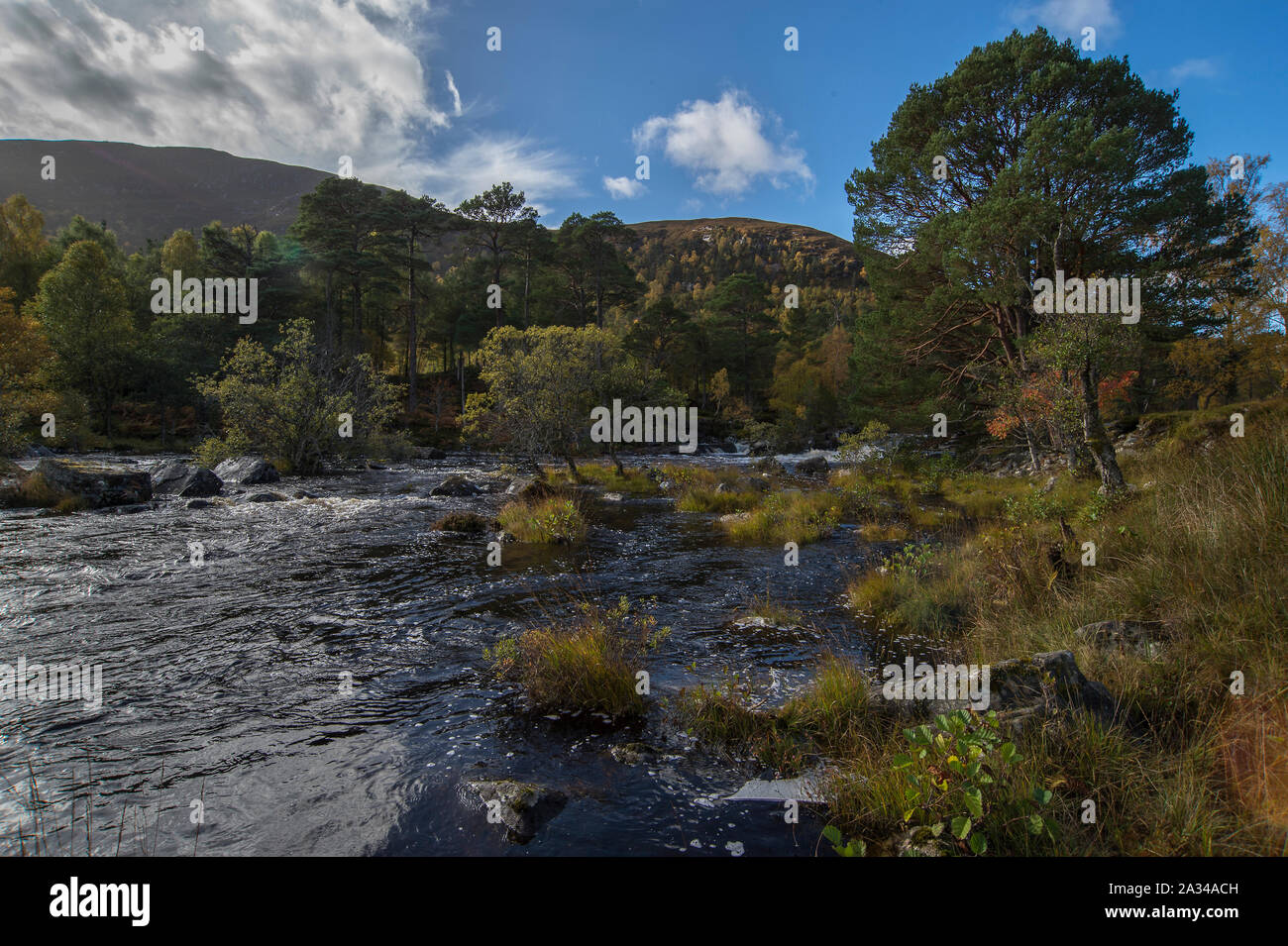 Fiume Affric, Glen Affric, Cannich, Highlands della Scozia Foto Stock