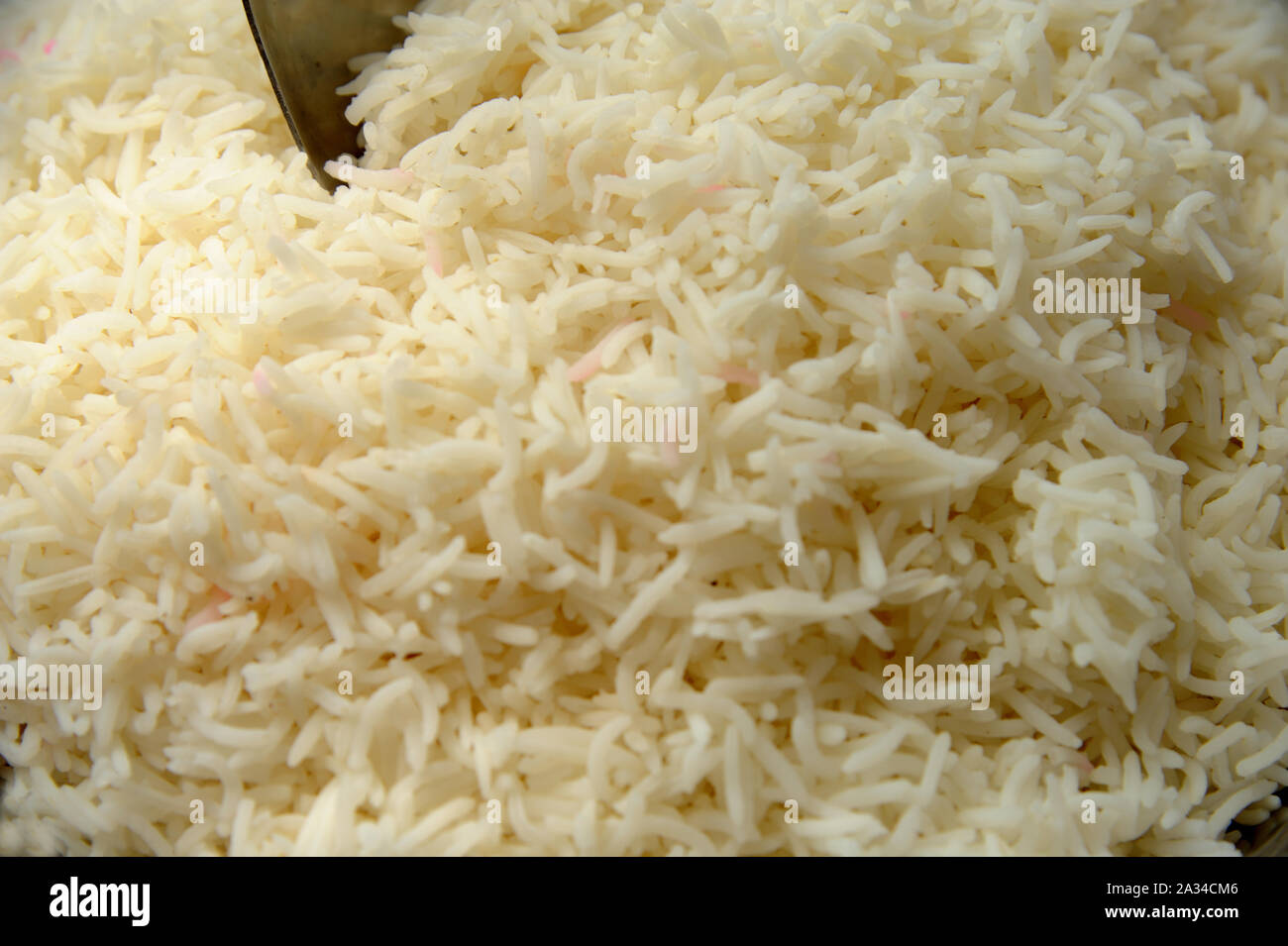 La cucina indiana bollito di riso Basmati /Chaval /Bhat riso è il seme  della specie di erba Oryza sativa o Oryza Glaberrima. Come un cereale Foto  stock - Alamy