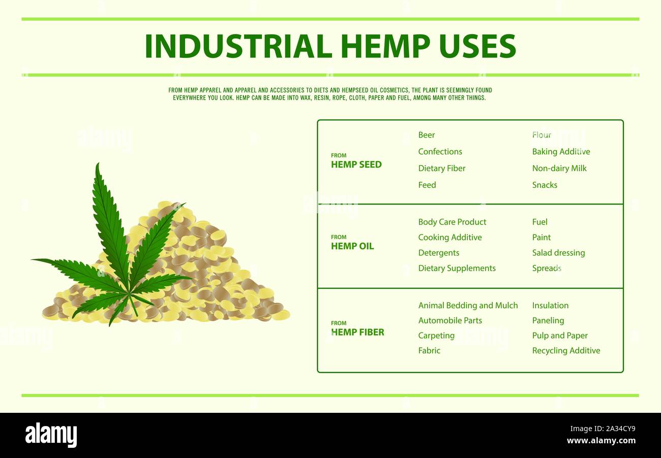 La canapa industriale utilizza infografico orizzontale illustrazione circa la cannabis come alternativa a base di erbe della medicina, sanità e la scienza medica vettore. Illustrazione Vettoriale