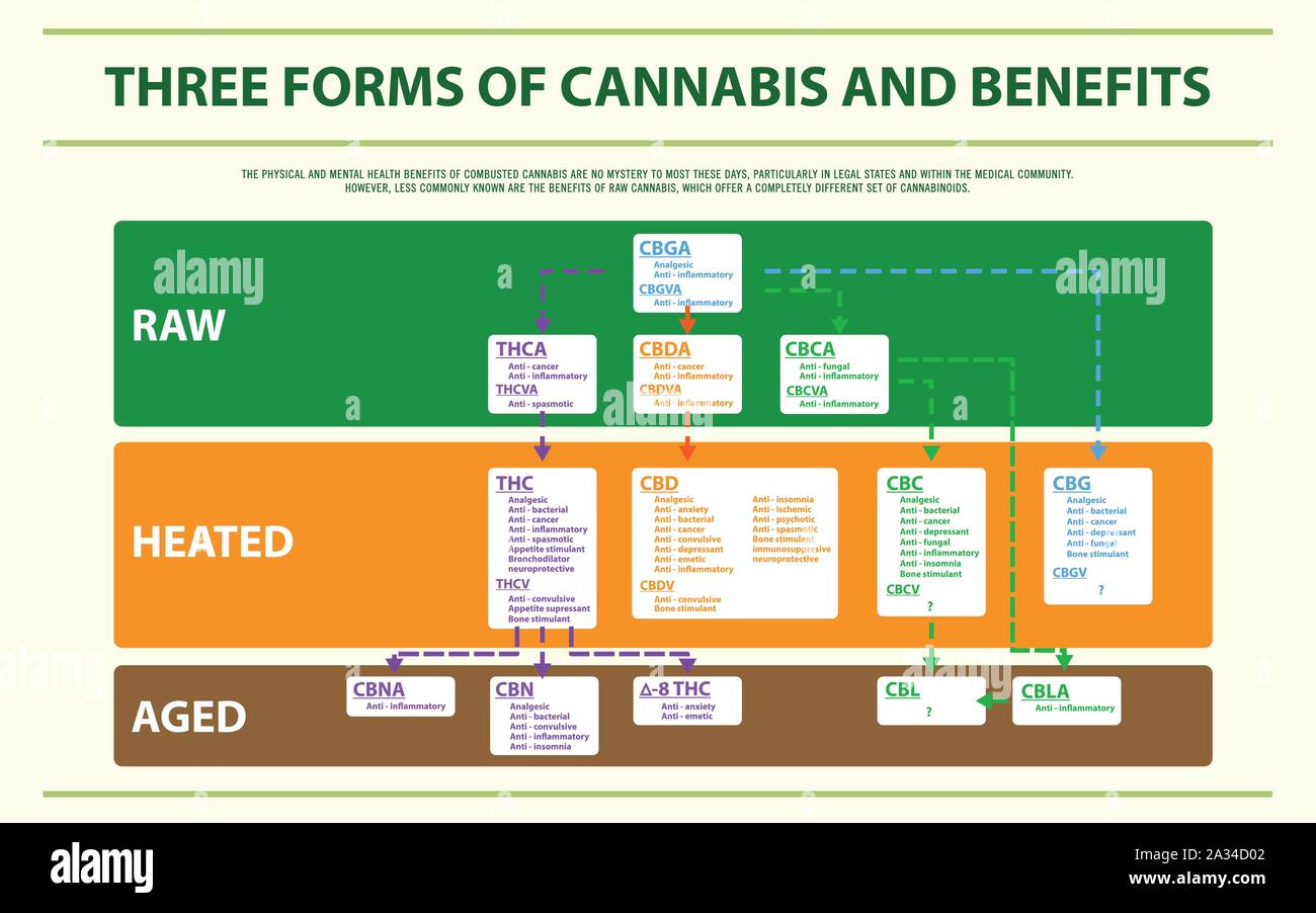 Tre forme di Cannabis e di benefici ed infografico orizzontale illustrazione sulla cannabis come medicina di erbe, la sanità e la scienza medica vettore. Illustrazione Vettoriale