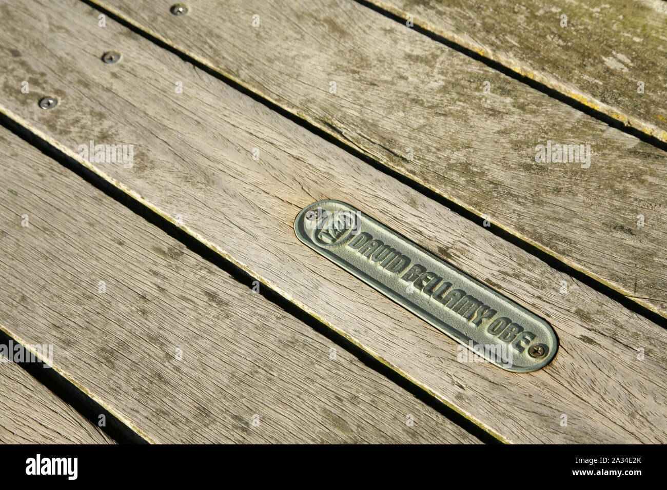 Targa in onore del botanico ed emittente David Bellamy su Southport Pier, UK. Foto Stock