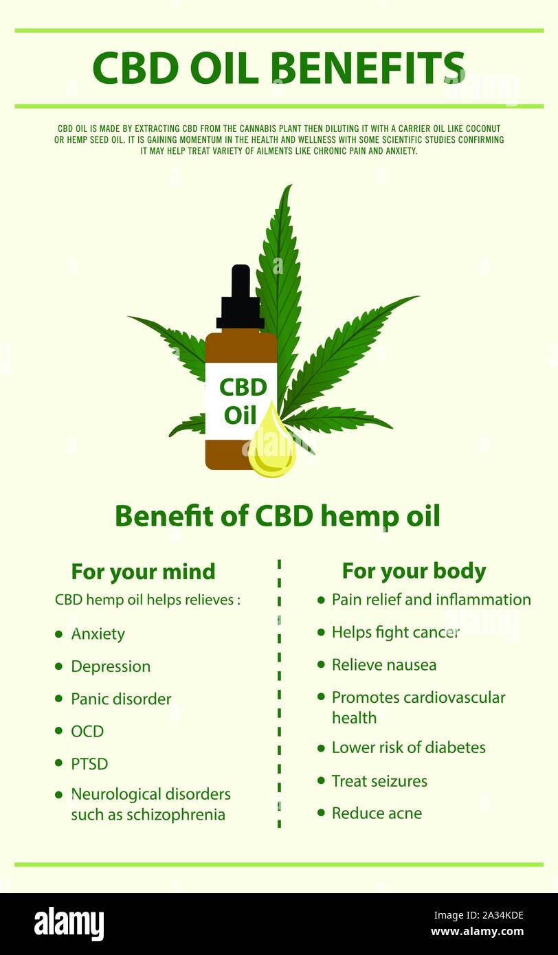 CBD vantaggi Olio infografico verticale illustrazione circa la cannabis come alternativa a base di erbe della medicina, sanità e la scienza medica vettore. Illustrazione Vettoriale