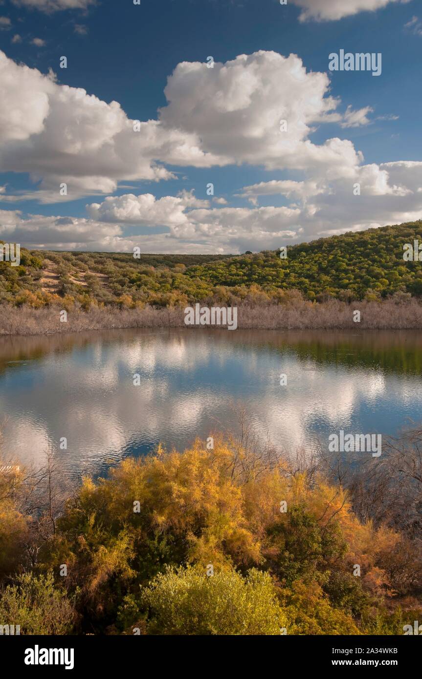 Bitter laguna riserva naturale, Jauja, Cordoba-provincia, regione dell'Andalusia, Spagna, Europa. Foto Stock