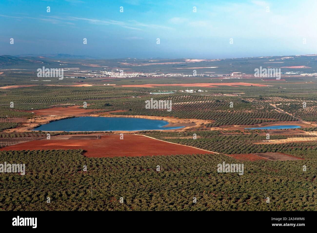 La Laguna Ratosa Riserva Naturale, Alameda, Malaga-provincia, regione dell'Andalusia, Spagna, Europa. Foto Stock