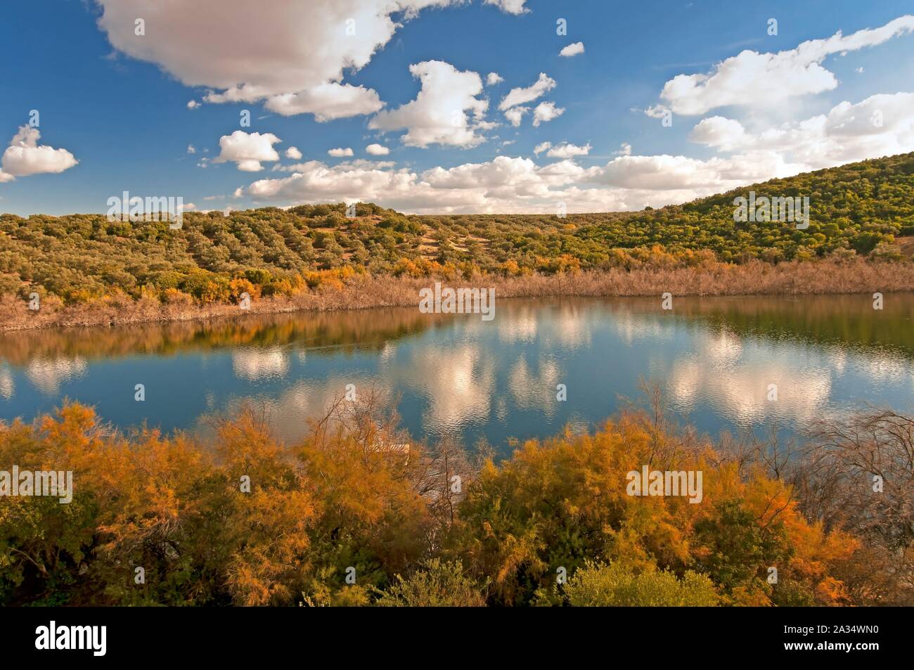 Bitter laguna riserva naturale, Jauja, Cordoba-provincia, regione dell'Andalusia, Spagna, Europa. Foto Stock