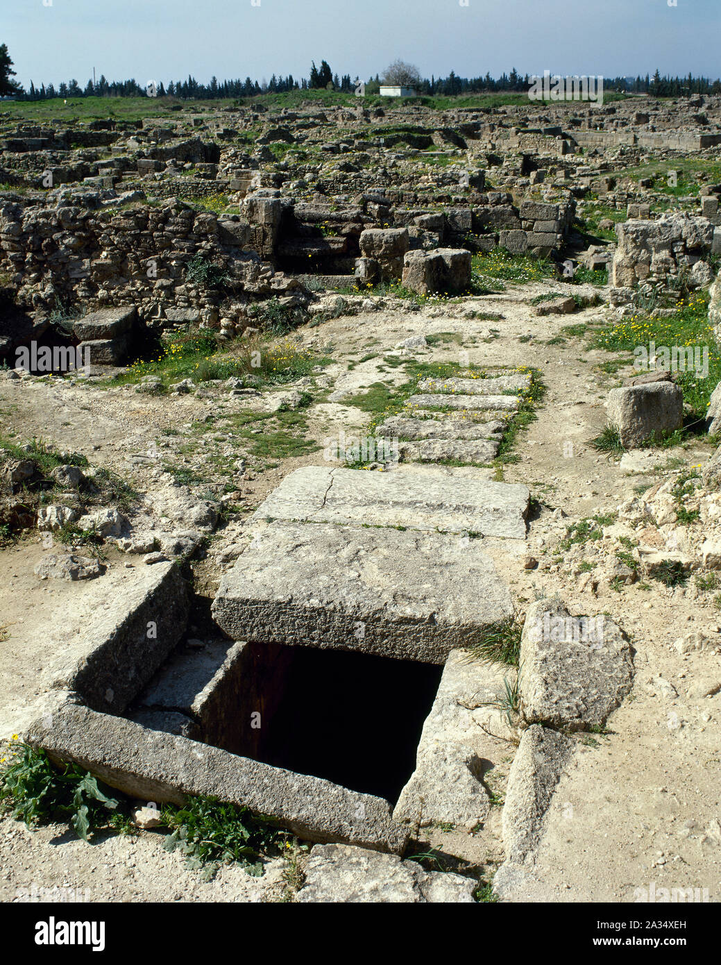 La Siria. Vicino Oriente antico. I fenici. Ugarit (Ras Shamra). Antica città fondata nel 6000 A.C. e abbandonata nel 1190 BC. Resti di un bene. (Foto scattata prima della Siria Guerra civile). Foto Stock