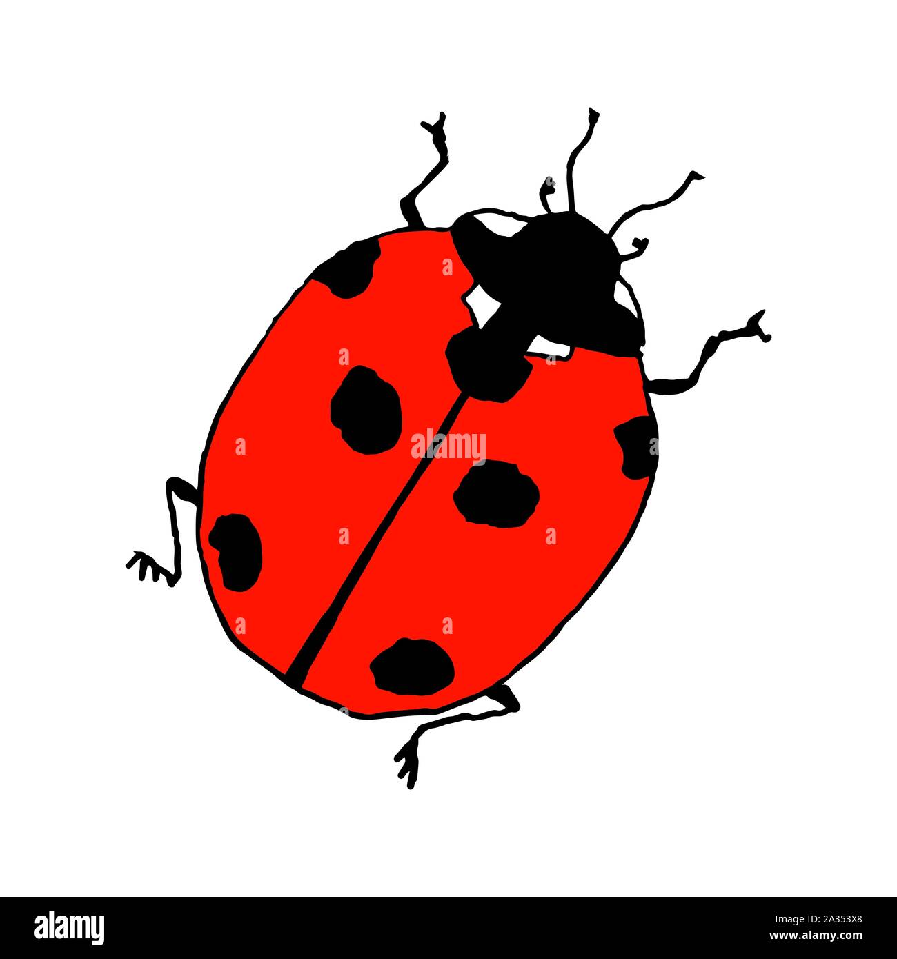Lady bug. Line art doodle sketch. Contorno colorato su sfondo bianco. Immagine può essere utilizzato in biglietti di auguri, poster, volantini, banner, logo, disegno botanico ecc. Illustrazione Vettoriale. EPS10 Illustrazione Vettoriale