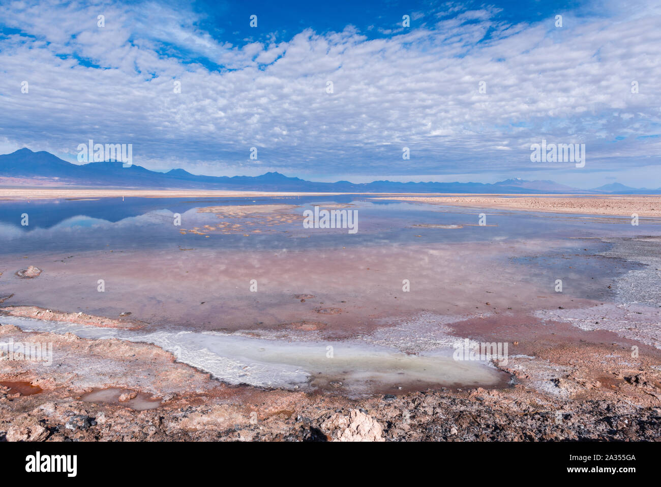 Laguna de Chaxa Chaxa Lago, Salar de Atacama deserto di Atacama, San Pedro de Atacama, Región de Antofagasta, Cile, America Latina Foto Stock