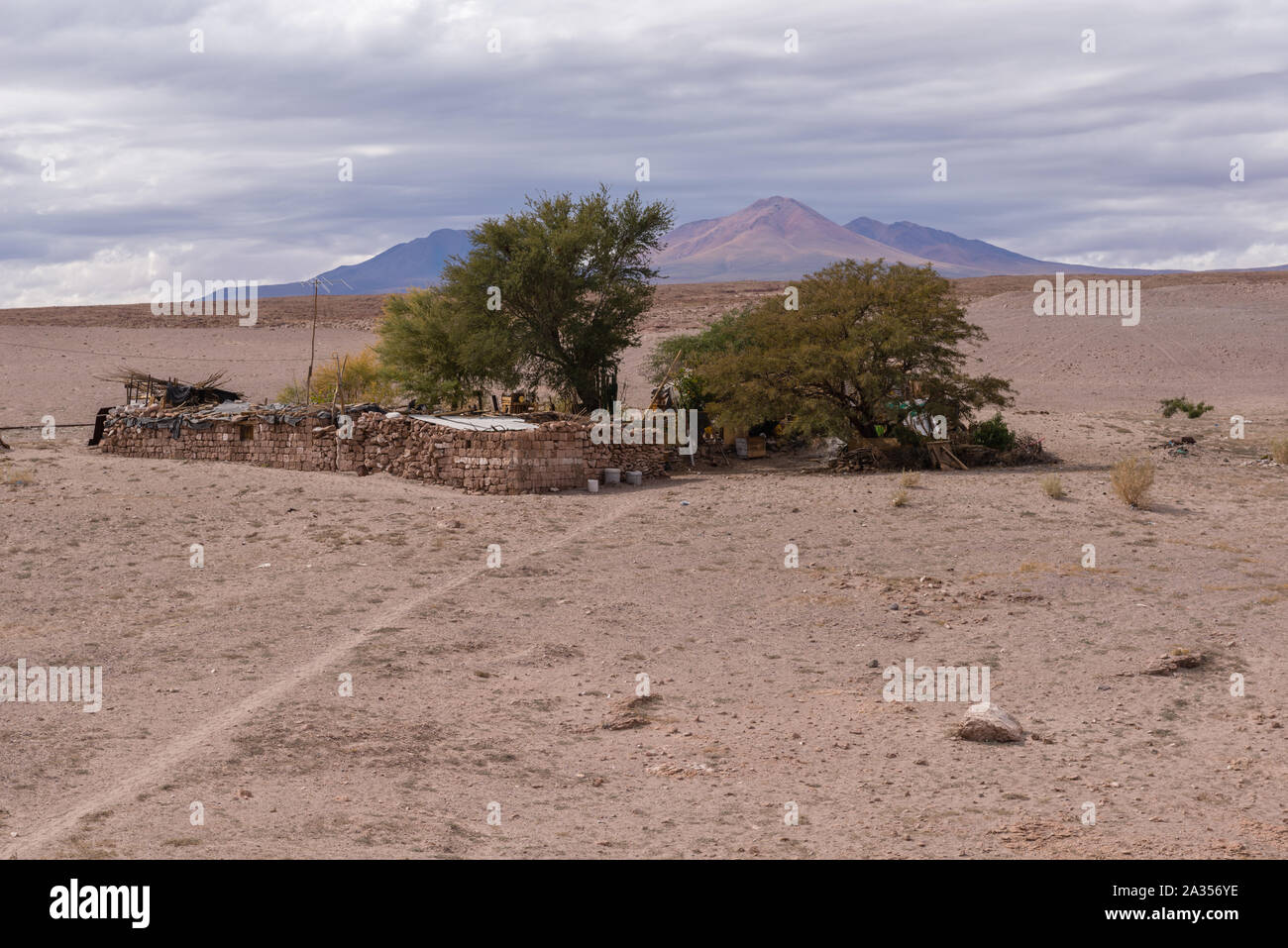 Città di Toconao, una piccola città nel deserto, Región de Antofagasta, San Pedro de Atacama deserto di Atacama, Cile, America Latina Foto Stock