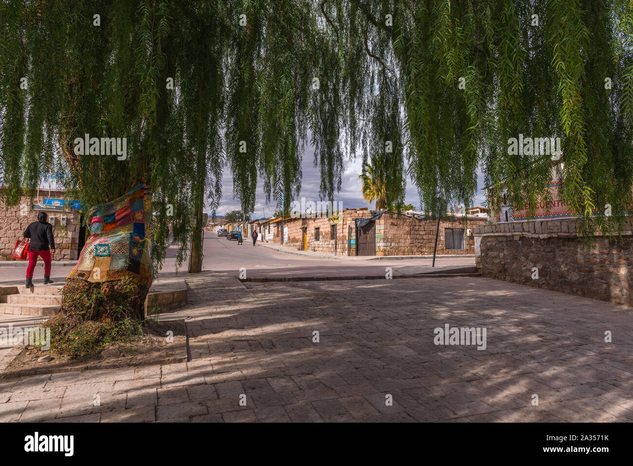 Città di Toconao, una piccola città nel deserto, Región de Antofagasta, San Pedro de Atacama deserto di Atacama, Cile, America Latina Foto Stock
